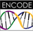 ENCODE